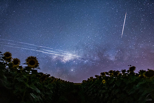 Starlink satellite trails over Brazil