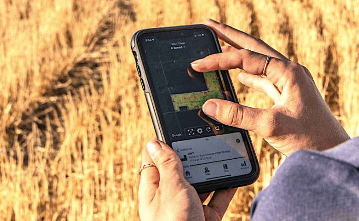 Worker using a mobile device in a farm field