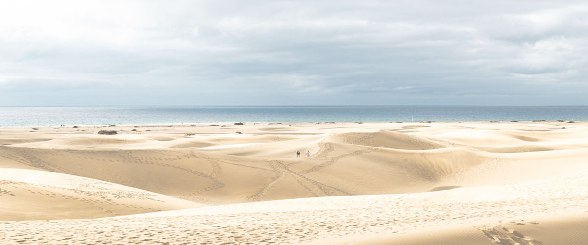 Abrams tank on a sandy beach